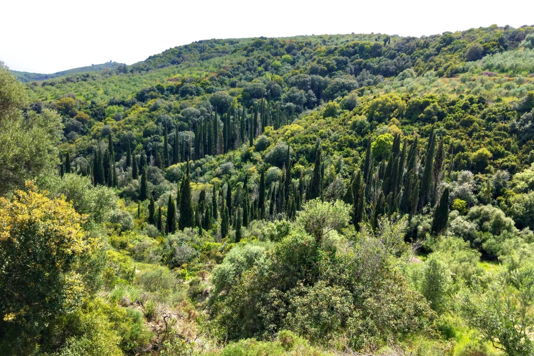 Landschaft des Peloponnes